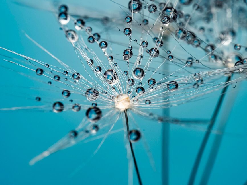 featured le saviez vous zoom sur les peptides les plus surprenants de la nature