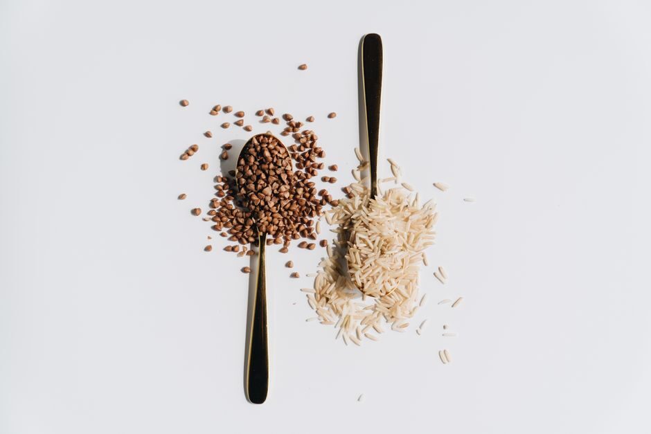 Peptides de soja, pois et riz : comparatif nutritionnel